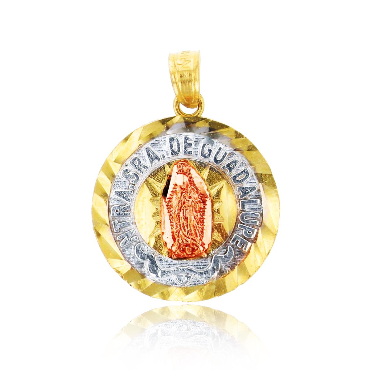 14K Gold Tri-Color DC 17x23mm Virgin Mary Round Tag Charm Pendant