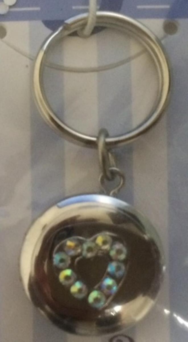 Sterling Silver Rhodium Iridescent CZ Heart Pet Collar Locket Pendant