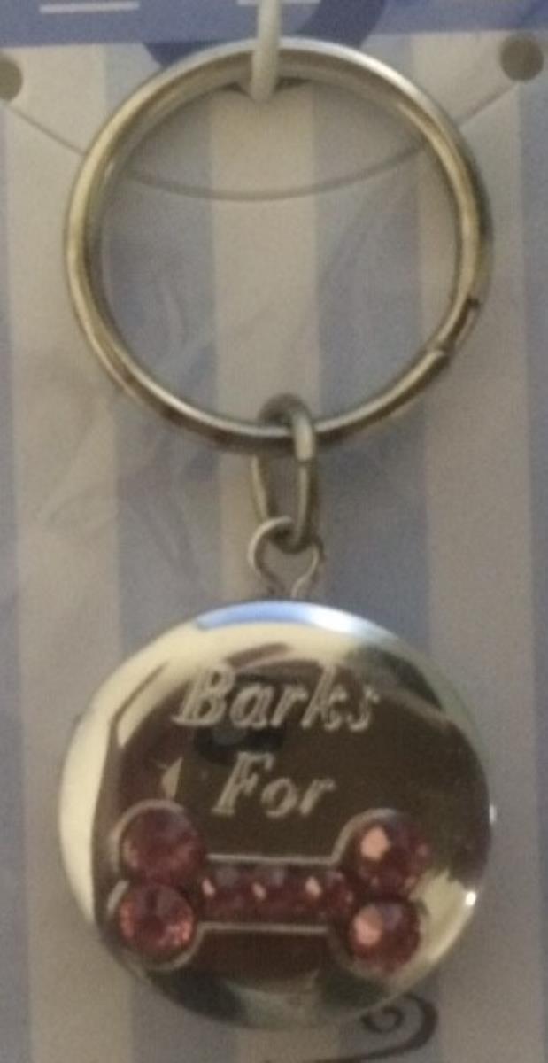 Sterling Silver Rhodium "Barks For" Pink CZ Bone Pet Collar Locket Pendant