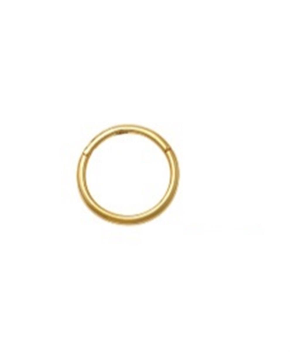 14K Yellow Gold 12x1mm Polished Segment Nose Ring