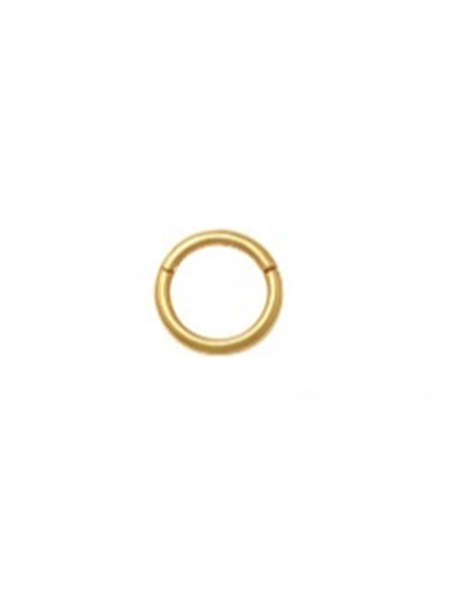 14K Yellow Gold 9x1mm Polished Segment Nose Ring