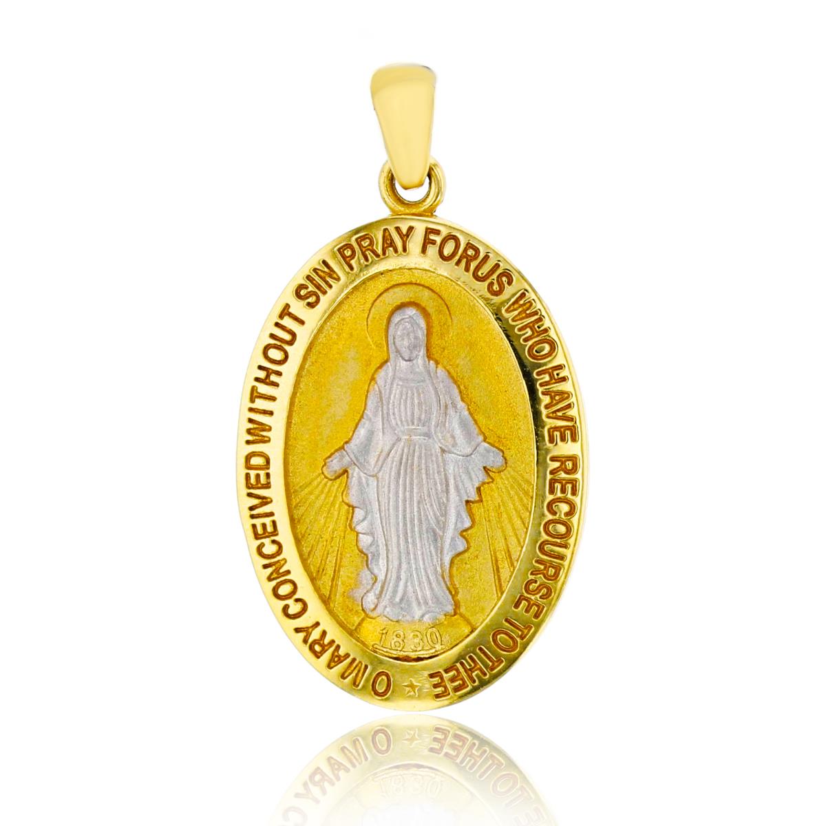 14K Two-Tone Gold Polished & Matte Virgin Mary Pendant
