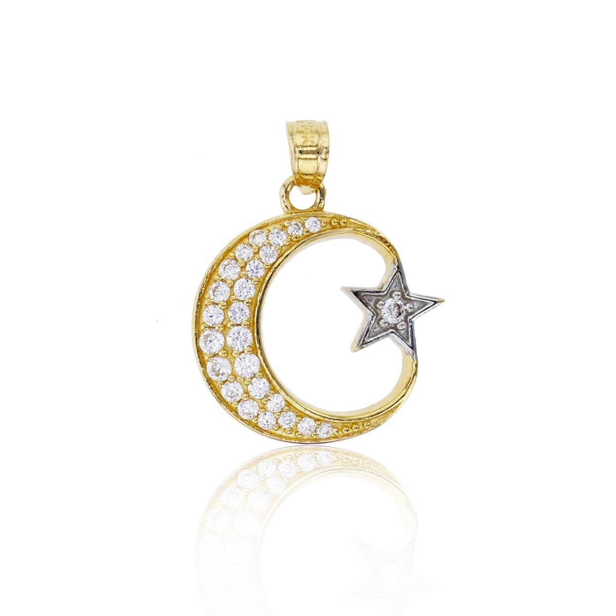 14K Two-Tone Gold 24x18mm Micropave Crescent Moon & Star Pendant