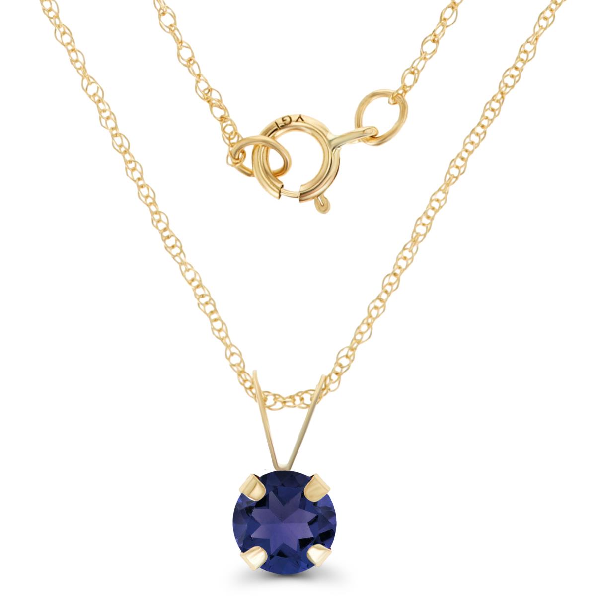 14K Yellow Gold 5mm Round Iolite 18" Rope Chain Necklace
