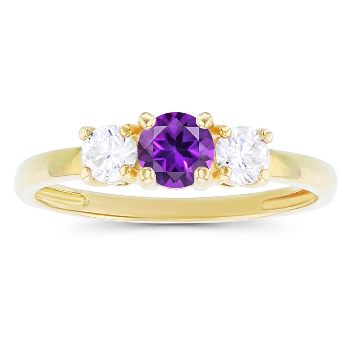 14K Yellow Gold 4.50mm Amethyst & 3.50mm Created White Sapphire Sides Ring